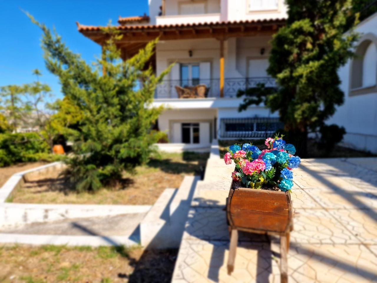 The Mirador Boutique Villa With Scenic Sea View Порто-Рафти Экстерьер фото