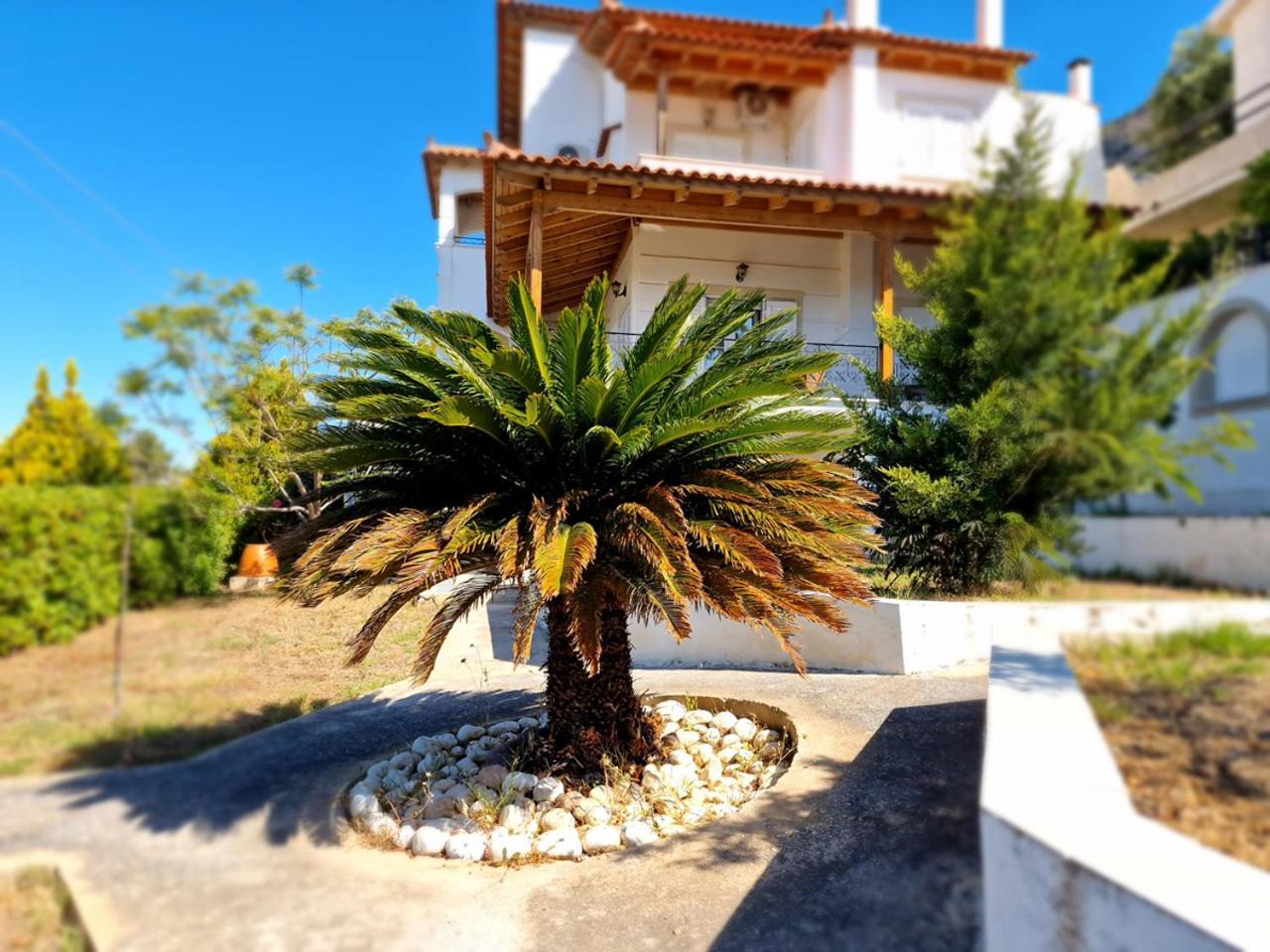 The Mirador Boutique Villa With Scenic Sea View Порто-Рафти Экстерьер фото
